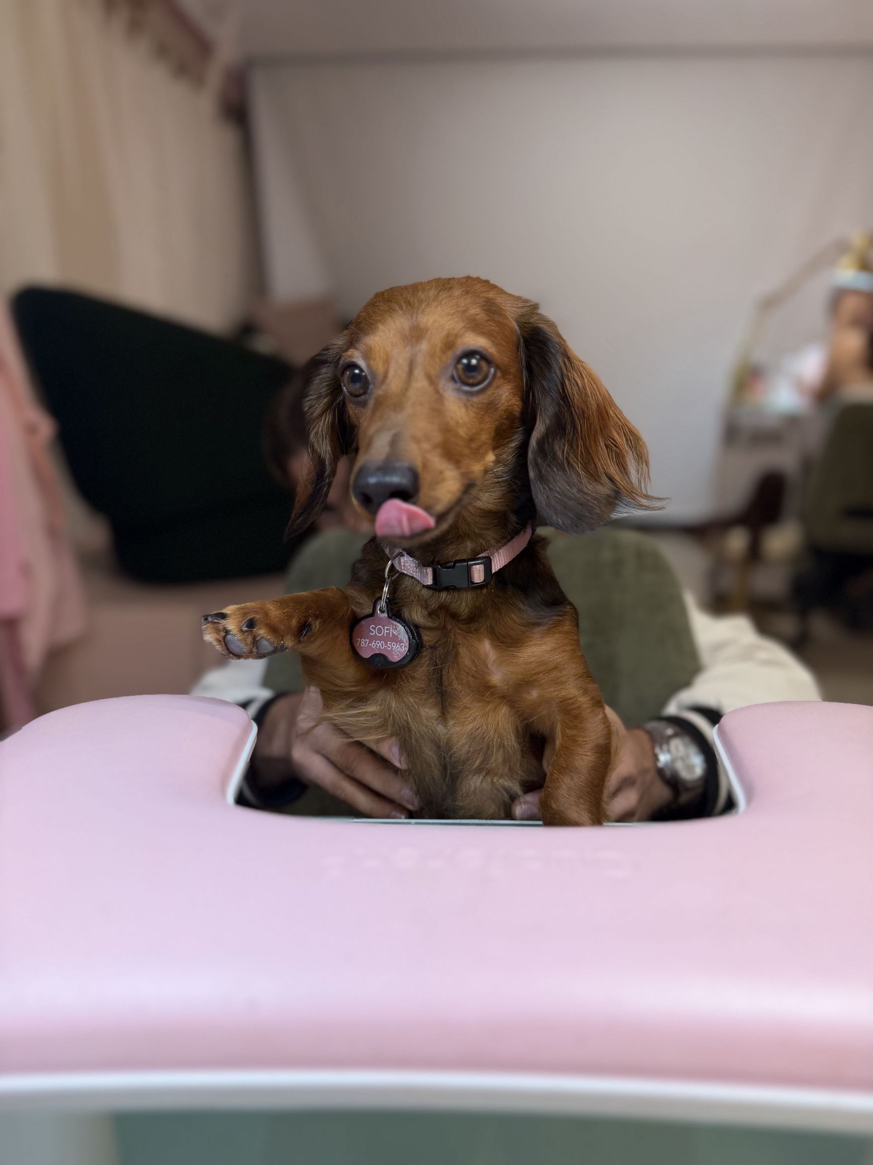 Klassy Salon — trabajo 6